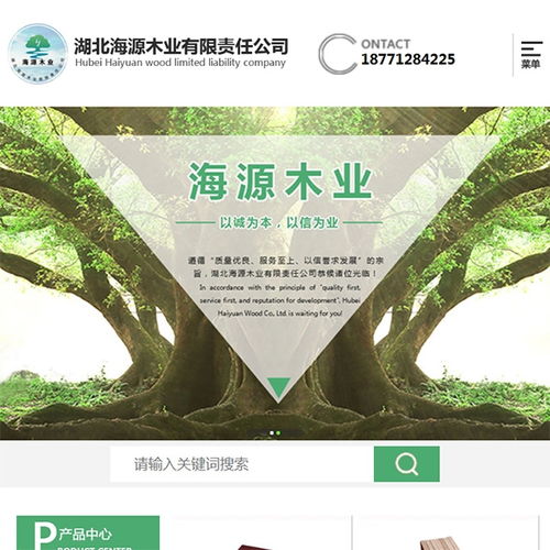 网站策划 大冶专业网站策划哪家好 商界科技